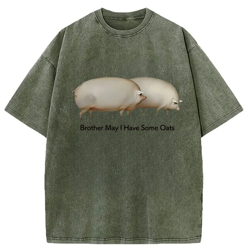 Cardydony Brother May L Have Some Oats Meme Washed T-shirt