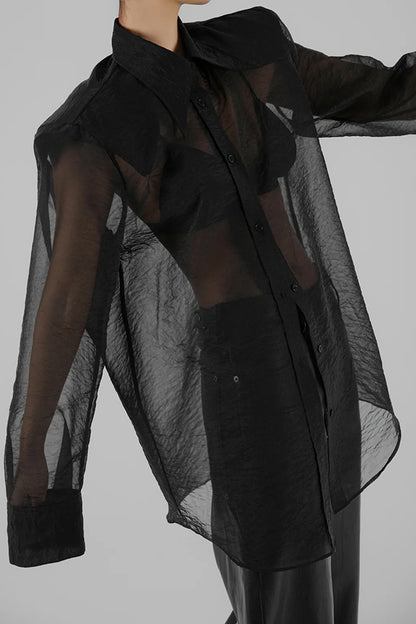 Cardydony Women's Retro Sheer Loose Long-sleeved Casual Shirt