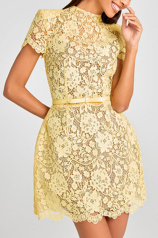 Cardydony Women's Champagne Toast Flower Lace Short Sleeve Bow Belted Mini Dress