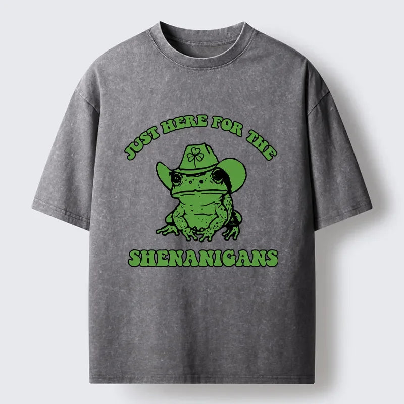Cardydony Here For The Shenanigans Washed T-shirt