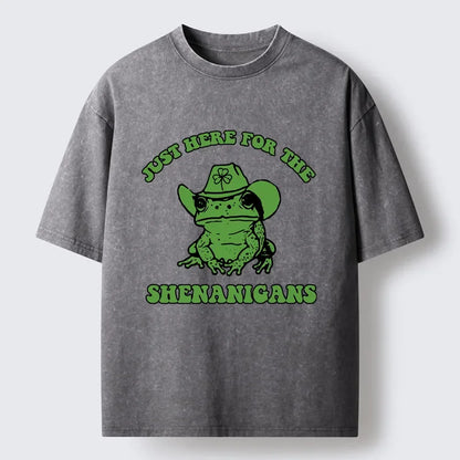 Cardydony Here For The Shenanigans Washed T-shirt
